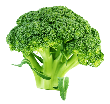 broccoli